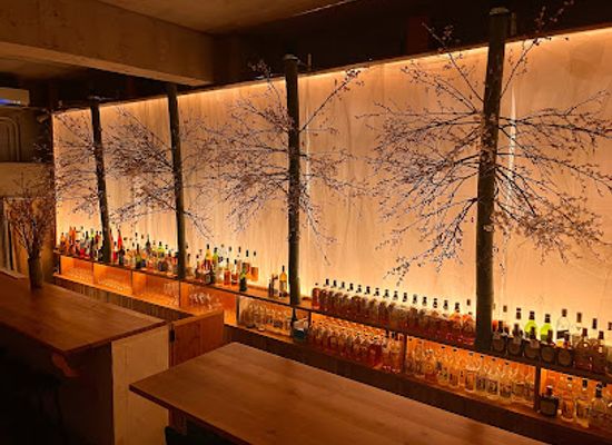 japan/ishigaki-island/bar/bar-music-tio-pepe