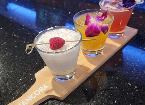 new-jersey/paterson-great-falls-national-historical-park/bar/mancora-lounge