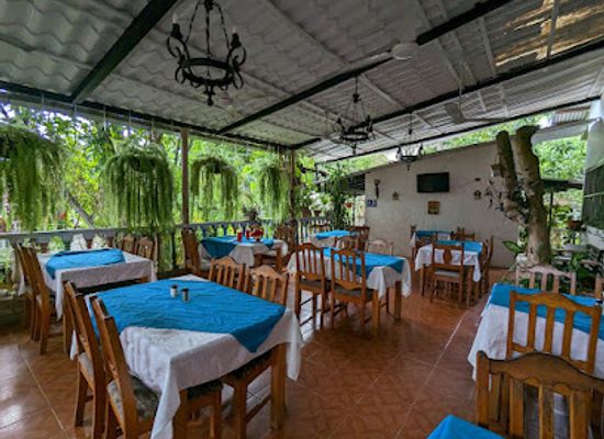 honduras/copan-ruinas/bar/la-llama-del-bosque