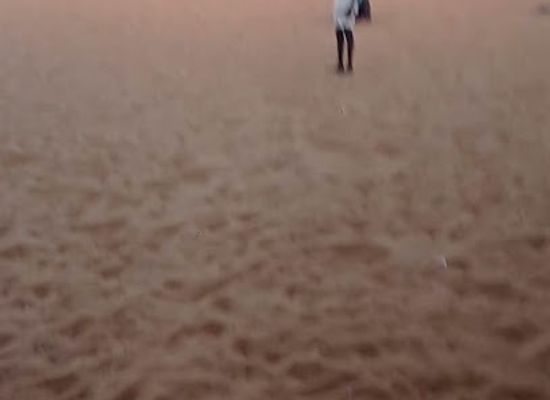 senegal/louga/bar/buvette-mame-fatou