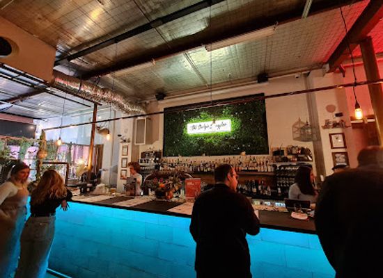 australia/new-england/bar/the-budgie-bar