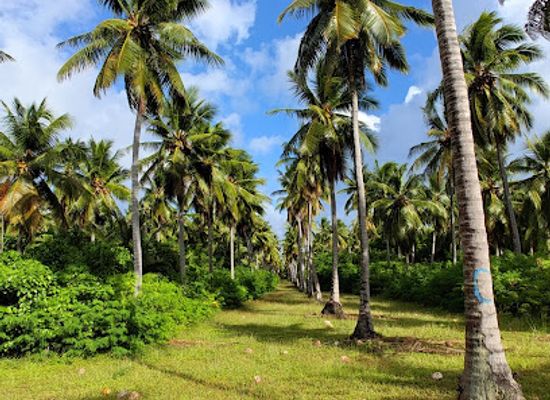 marshall-islands/enewetak-atoll/bar/bikini-atoll