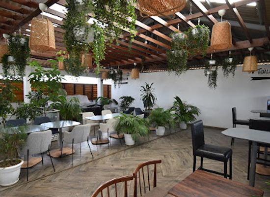 cote-d-ivoire/comoe-national-park/bar/the-rooph