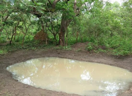 guinea-bissau/cacheu-mangroves-natural-park/bar/o-bistro