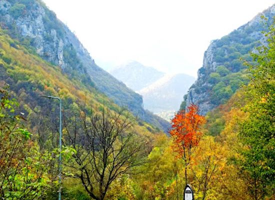 kosovo/bjeshket-e-nemuna-national-park/bar/lodhe-tu-pushu