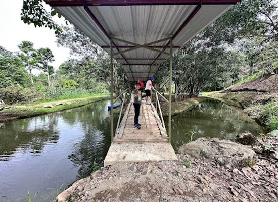 ecuador/zamora-chinchipe-region/bar/hosteria-tierra-dorada
