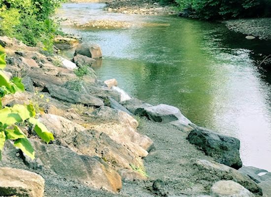 pennsylvania/ricketts-glen-state-park/bar/hiker-s-cafe-no-13-at-fishing-creek-lodge