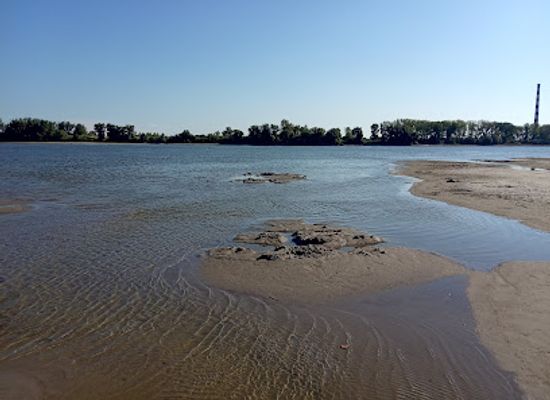 serbia/novi-sad/petrovaradin/bar/Taraba-Bar