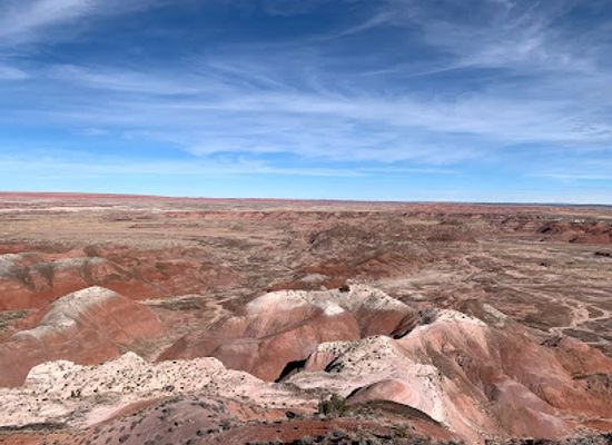 arizona/petrified-forest-national-park/bar/petrified-forest-national-wilderness-area