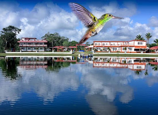 belize/crooked-tree-wildlife-sanctuary/bar/bird-s-eye-view-lodge-tours