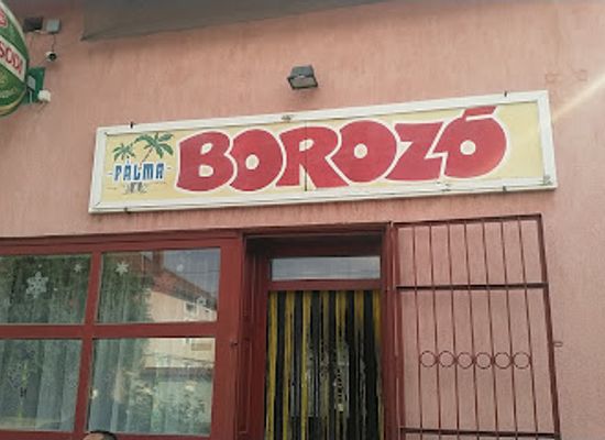 hungary/southern-great-plain/bar/palma-borozo
