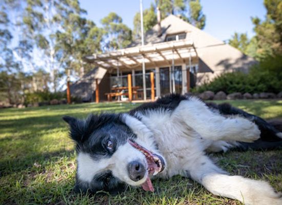 australia/grampians/bar/grampians-getaway