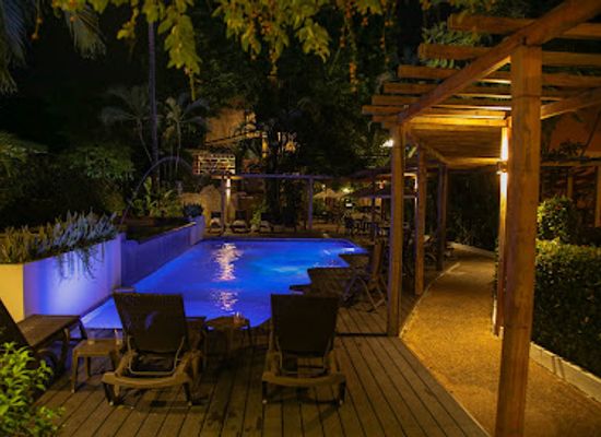 mexico/lacandon-jungle/bar/hotel-maya-tulipanes-palenque
