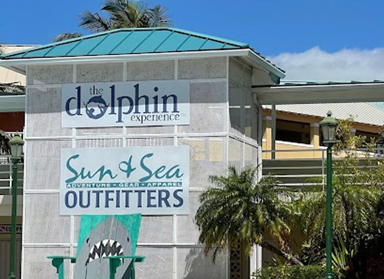 the-bahamas/lucaya/bar/dive-in-bar-grill