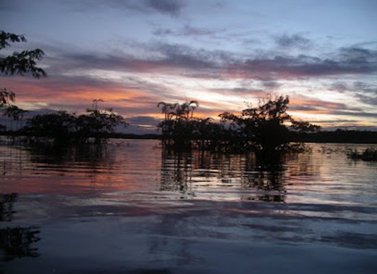 ecuador/northeast-oriente/bar/cuyabeno-river