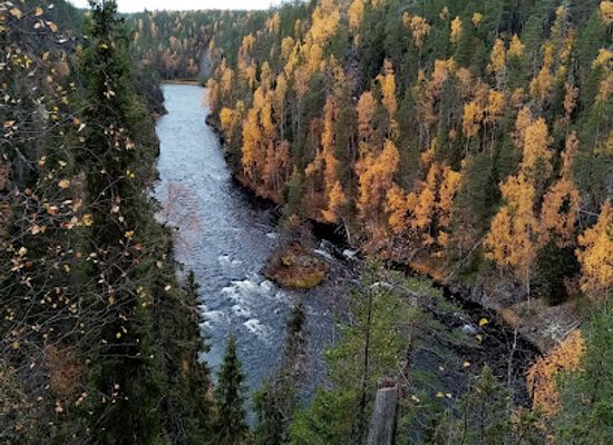 finland/karhunkierros-trail/bar/karhunkierros-the-bear-s-trail