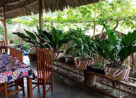 timor-leste/viqueque/bar/luminar-restaurant