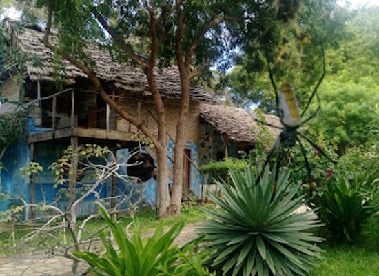 tanzania/selous-game-reserve/bar/kimbilio-lodge