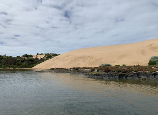 australia/coorong/bar/coorong-wildside-tours