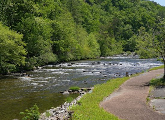 tennessee/hatchie-river-area/bar/iron-works-grille