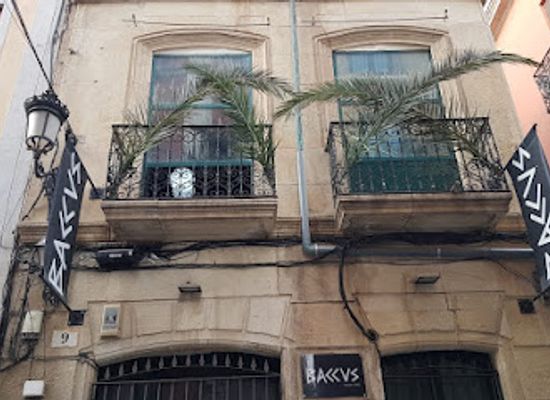 spain/alicante/casco-antiguo/bar/pub-baccus