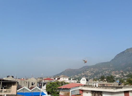 haiti/nord/bar/au-du-cap