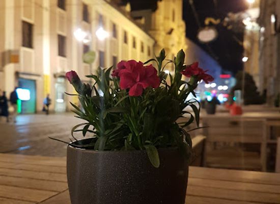 austria/upper-austria/bar/masq-linz