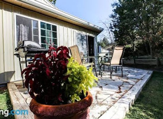 wyoming/weston-county/bar/the-pines-country-inn