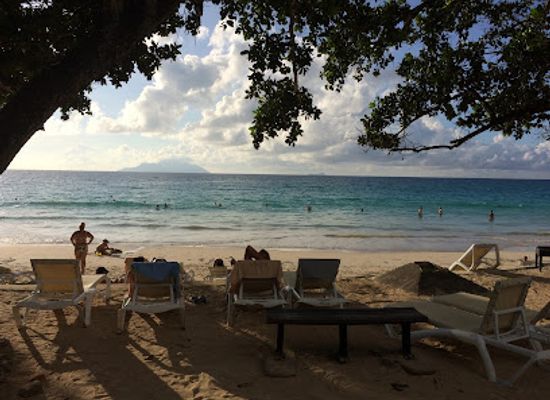 seychelles/ile-aux-serpents/bar/gecko-bar