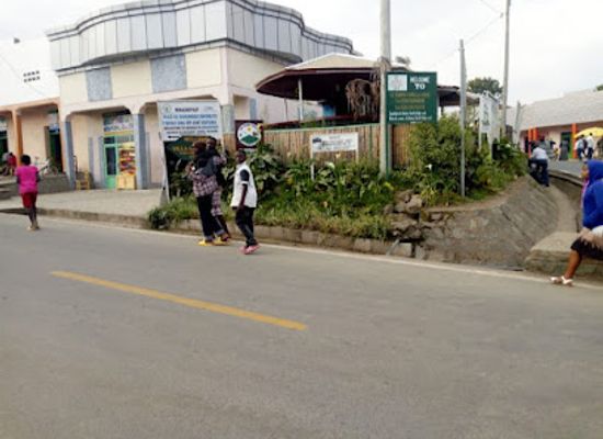 rwanda/karisimbi-volcano/bar/golden-monkey