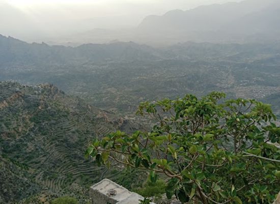 eritrea/southern-red-sea/bar/