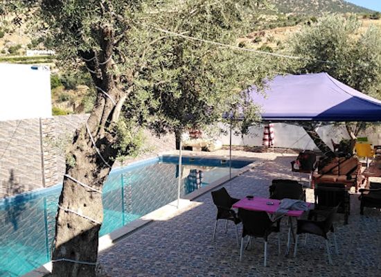 jordan/ajloun-highlands/bar/masbah-al-ali