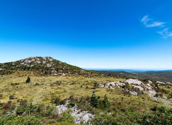 virginia/mount-rogers-national-recreation-area/bar/mount-rogers-national-recreation-area