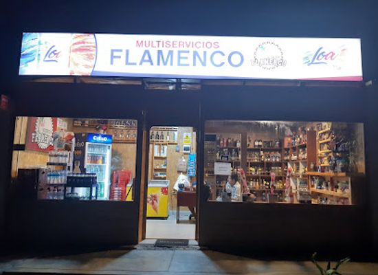 peru/paracas-national-reserve/bar/licoreria-flamenco