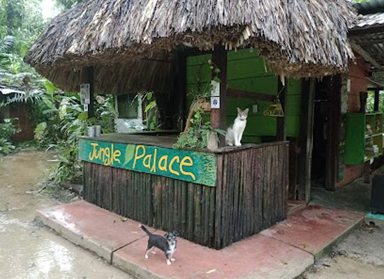 mexico/lacandon-jungle/bar/jungle-palace
