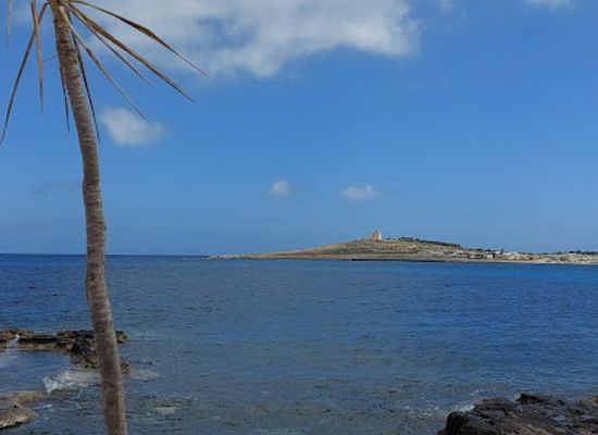 malta/mellieha/bar/farlex-bar