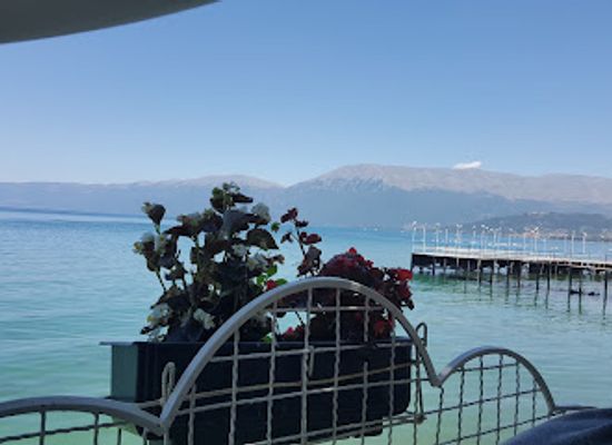 albania/pogradec-region/bar/bar-pelikani