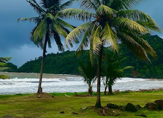 dominica/castle-bruce-beach/bar/curlz-cuisine
