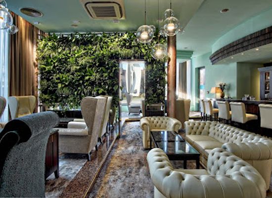 czechia/brno/bar/cohiba-club-conti