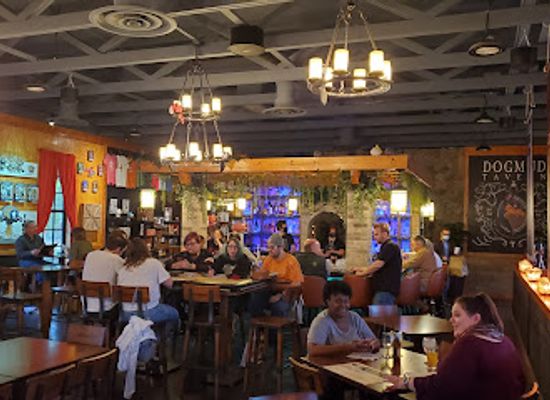 mississippi/the-hills/bar/dogmud-tavern
