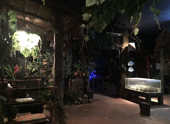 palau/ngerulmud/bar/jungle-bar