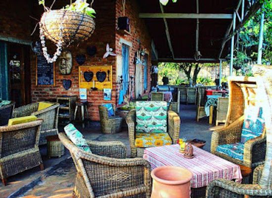 malawi/viphya-mountains/bar/macondo-camp