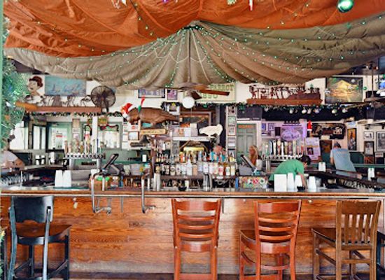 florida/florida-keys/bar/green-parrot-bar