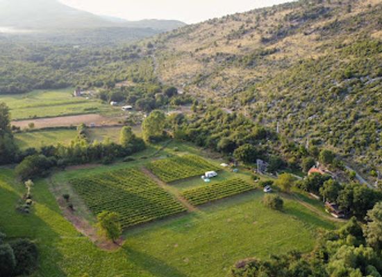 montenegro/skadar-lake-region/bar/purple-eye-estate-camp-winery