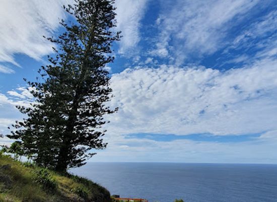 norfolk-island/selwyn-reserve/bar/norfolk-island-national-park
