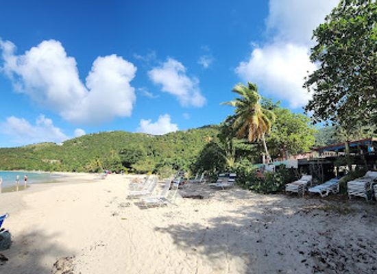 british-virgin-islands/tortola-beaches/bar/nicoles-beach-bar