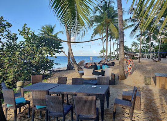 dominican-republic/las-terrenas/bar/el-mosquito-beach-bar