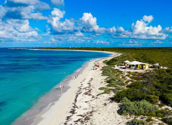 british-virgin-islands/anegada-beaches/bar/tipsy-by-ann-anegada-bvi