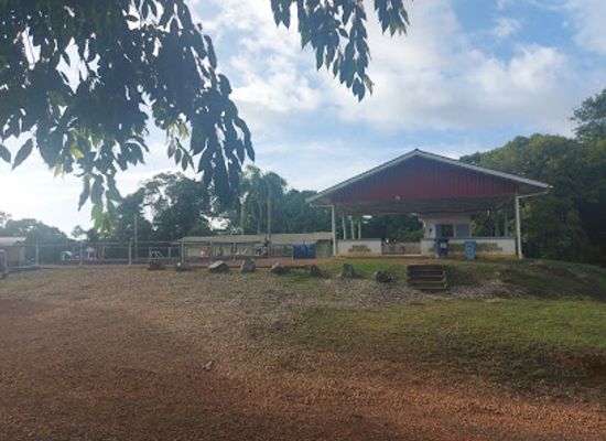 suriname/brokopondo-district/bar/brokopondo