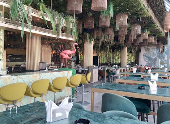tunisia/the-tell/bar/le-flamant